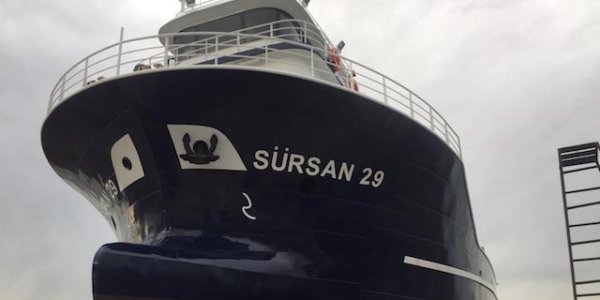 Sürsan 29