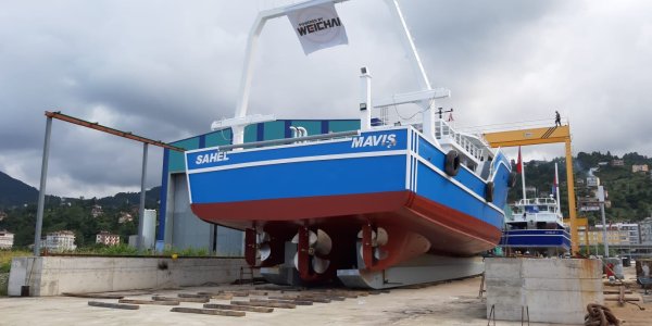 Sahel Maviş