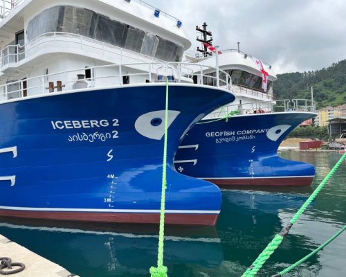 ICEBERG-2