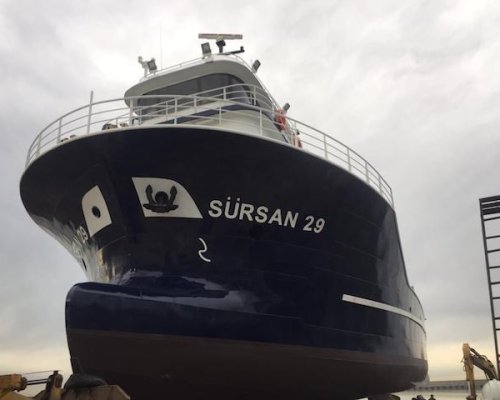 Sürsan 29