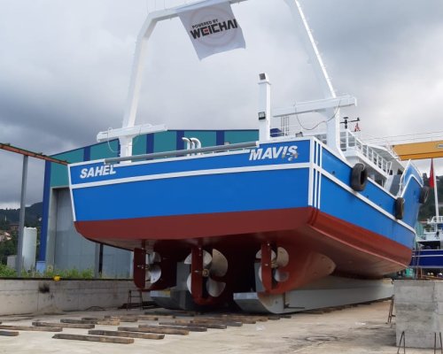 Sahel Maviş